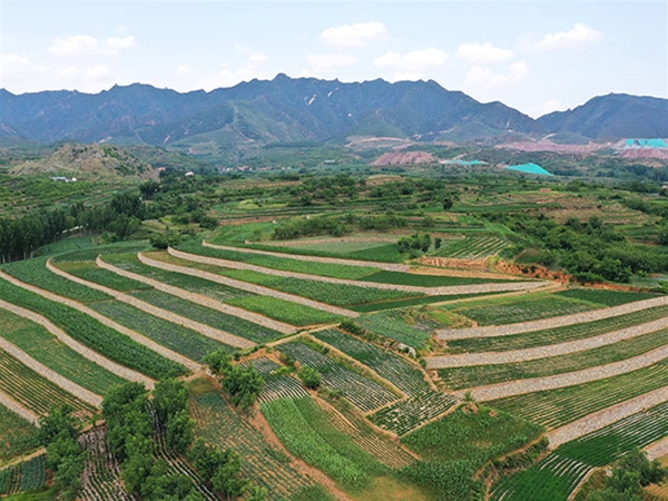 礦山修復工程